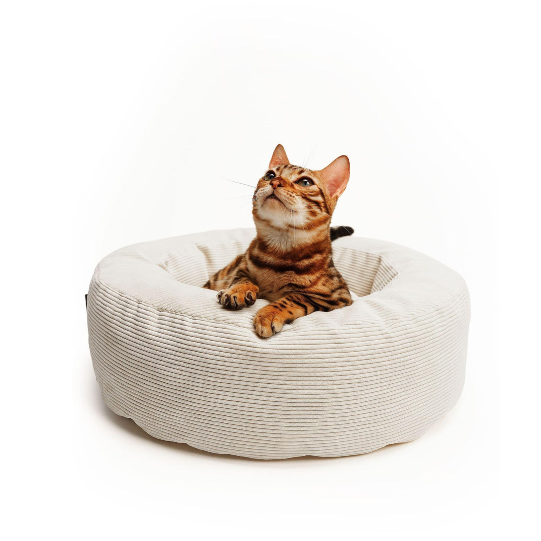 LucyBalu® Nest Katzenbett waschbar für kleine & grosse Katzen | Katzenschlafplatz | Katzenkissen | K