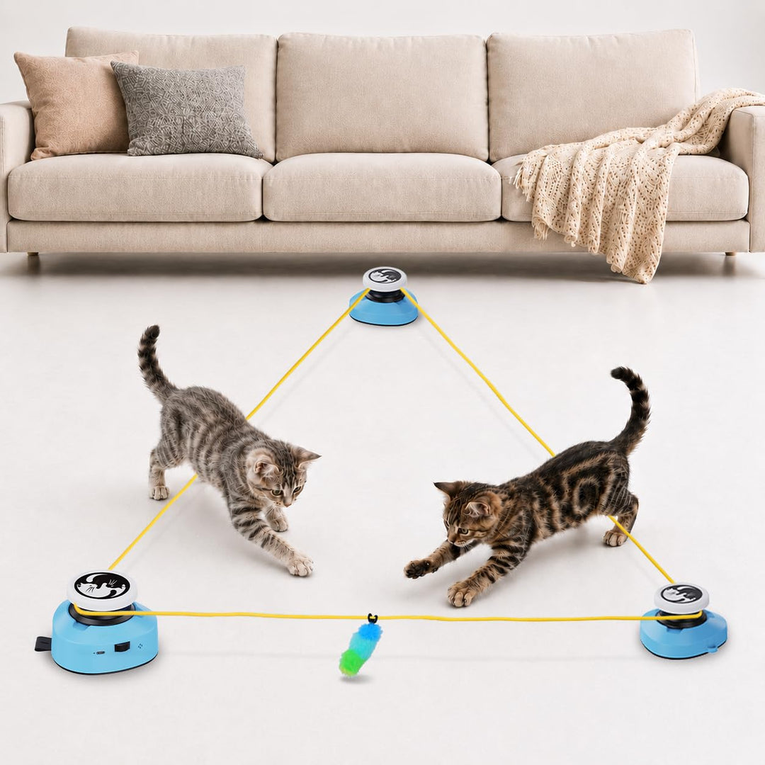 ITSHINY Katzenspielzeug Elektrisch, Katzenlaufrad, Interaktives Katzenspielzeug Selbstbeschäftigung