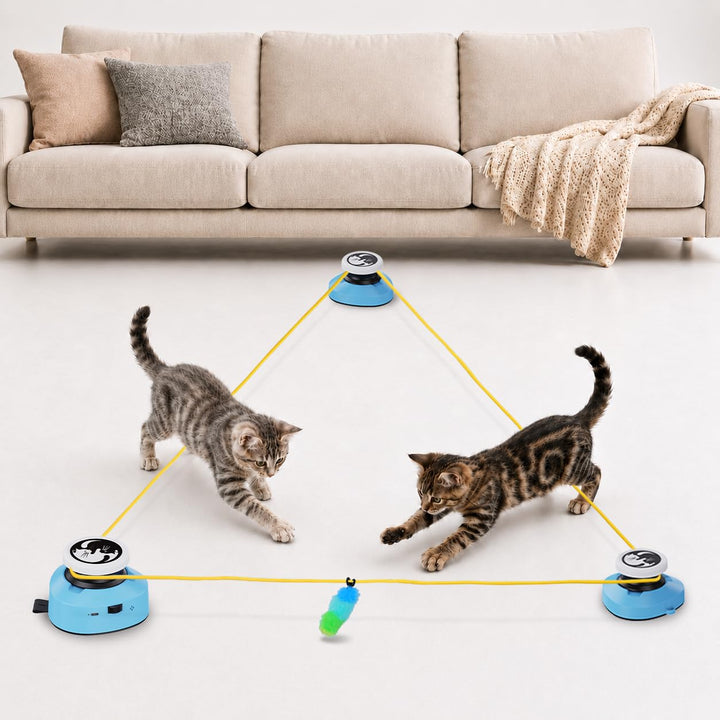 ITSHINY Katzenspielzeug Elektrisch, Katzenlaufrad, Interaktives Katzenspielzeug Selbstbeschäftigung