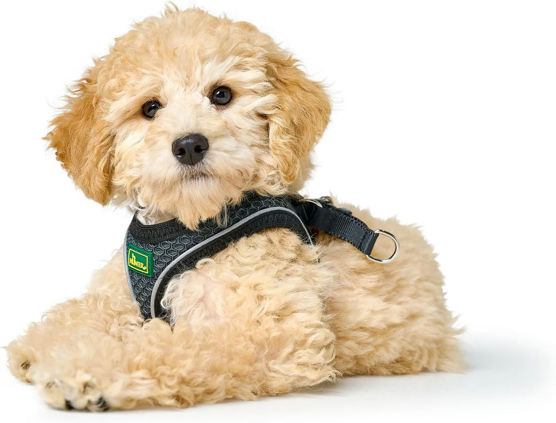 HUNTER HILO COMFORT Geschirr für kleine Hunde mit Netzmaterial und reflektierenden Elementen, anthra