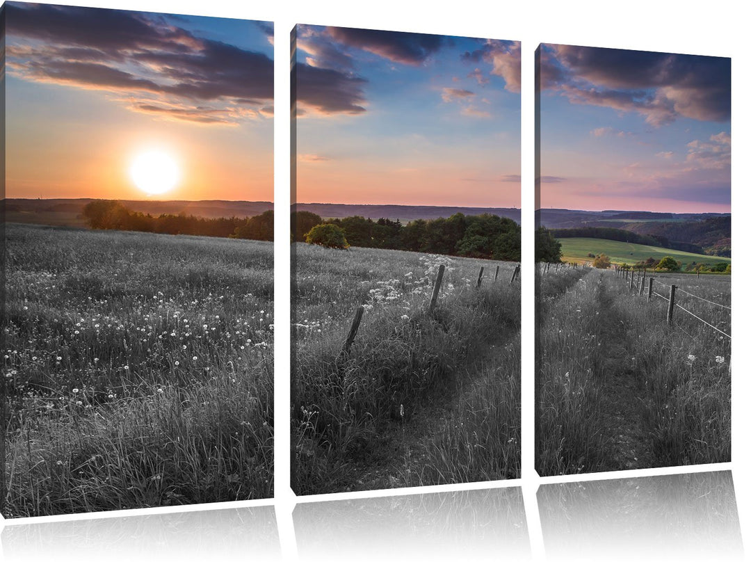 Pixxprint Bergwiese im Sonnenaufgang als Leinwandbild/Grösse: 3 Teilig (120x80) cm/Wandbild/Kunstdru
