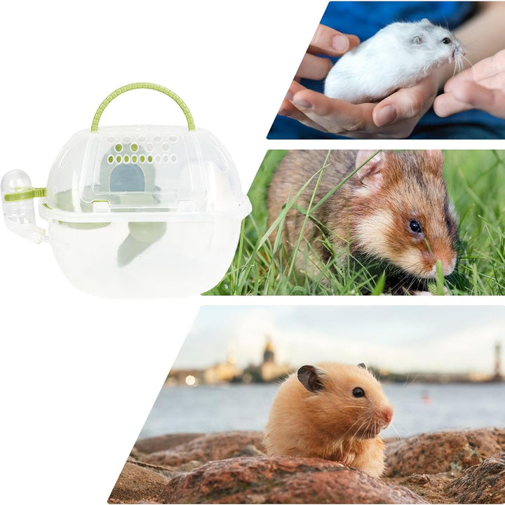 Hamster-Tragetasche, Transportbox für Meerschweinchen, kleine Haustier-Tragetasche, Wasserflasche in