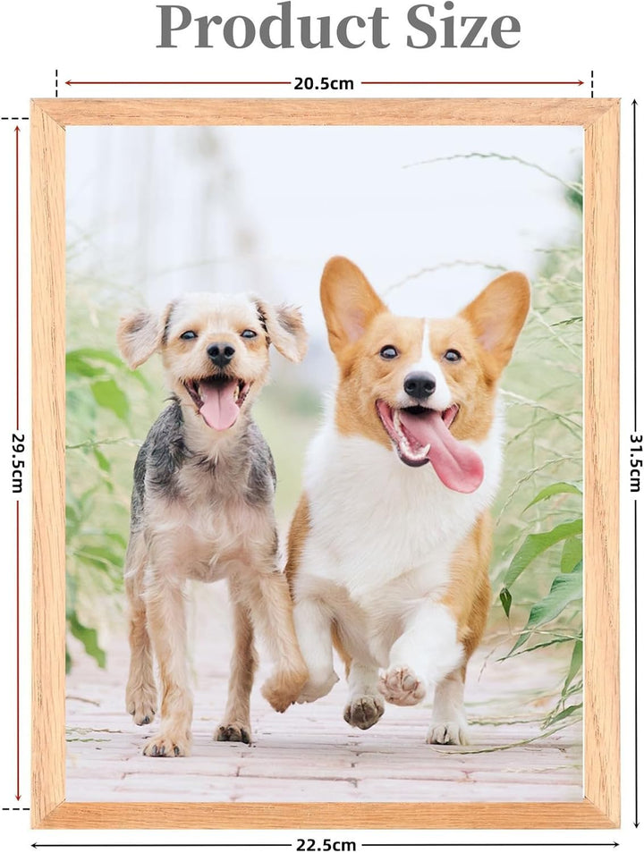 A4 Fotorahmen mit Matte, 2 Pack-21x30cm schwarzer Bilderrahmen Plexi-Glas, Zertifikatsrahmen für Wan