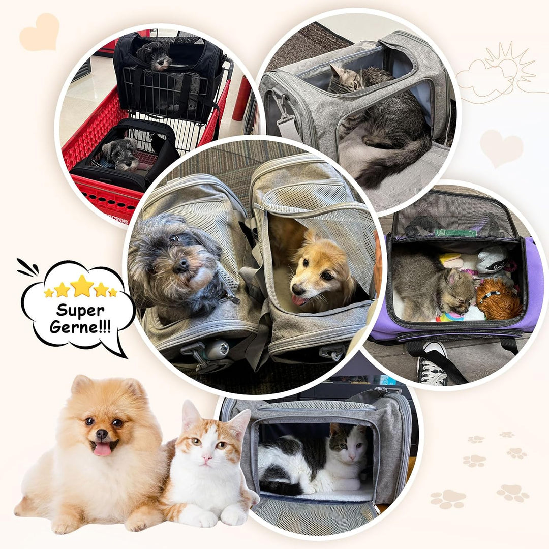 Transporttasche für Katze Hund, Hundetransportbox | Faltbare Katzentransportbox,5kg Katzen Hunde Tra