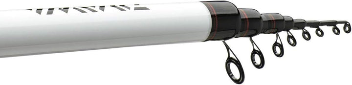 Daiwa Ninja Bolo 4.00m -25g