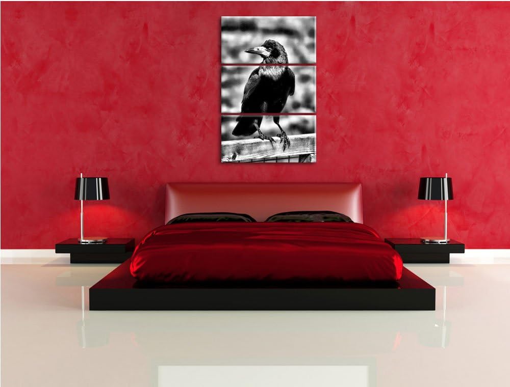 Pixxprint prachtvoller Rabe als Leinwandbild/Grösse: 3 Teilig (120x80) cm/Wandbild/Kunstdruck/fertig