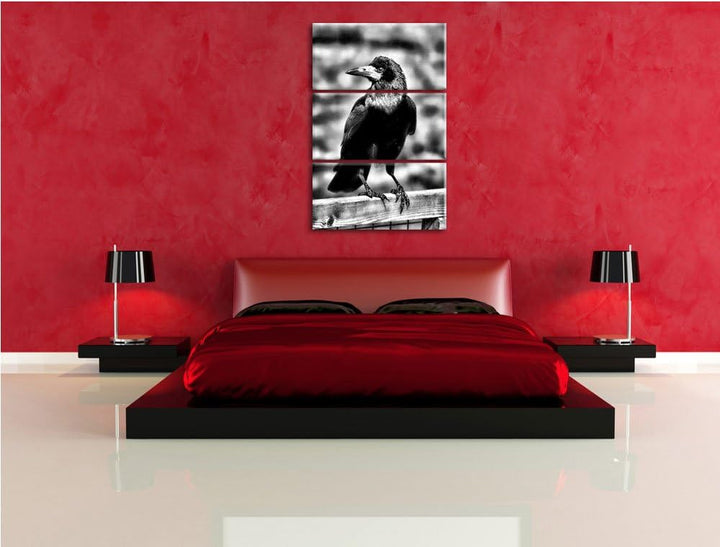 Pixxprint prachtvoller Rabe als Leinwandbild/Grösse: 3 Teilig (120x80) cm/Wandbild/Kunstdruck/fertig