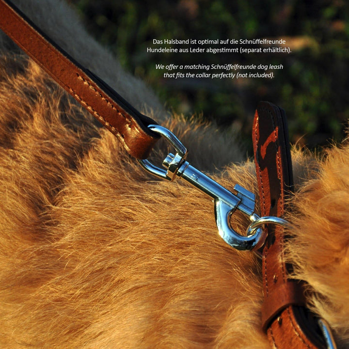 Schnüffelfreunde Nala Halsband für Hunde aus Leder mit Applikation und Nieten, Hundehalsband für den
