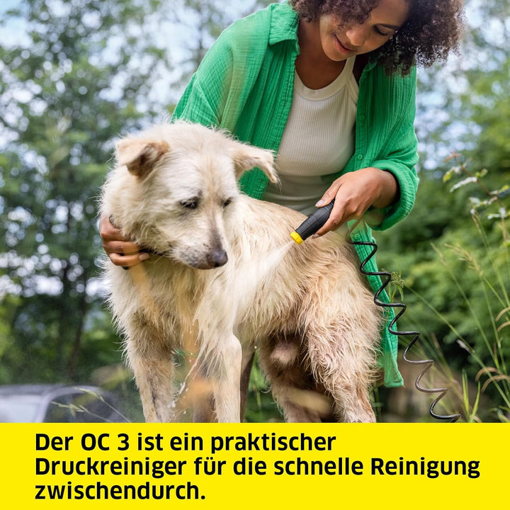 Kärcher Mobile Outdoor Cleaner OC 3 Pet Box (Wassertankvolumen: 4 l, Lithium-Ionen-Akku, abnehmbarer