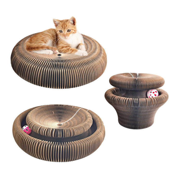 Magic Organ Cat Scratching Board 36cm lang, Katzenspielzeug Selbstbeschäftigung aus Pappe mit Glocke