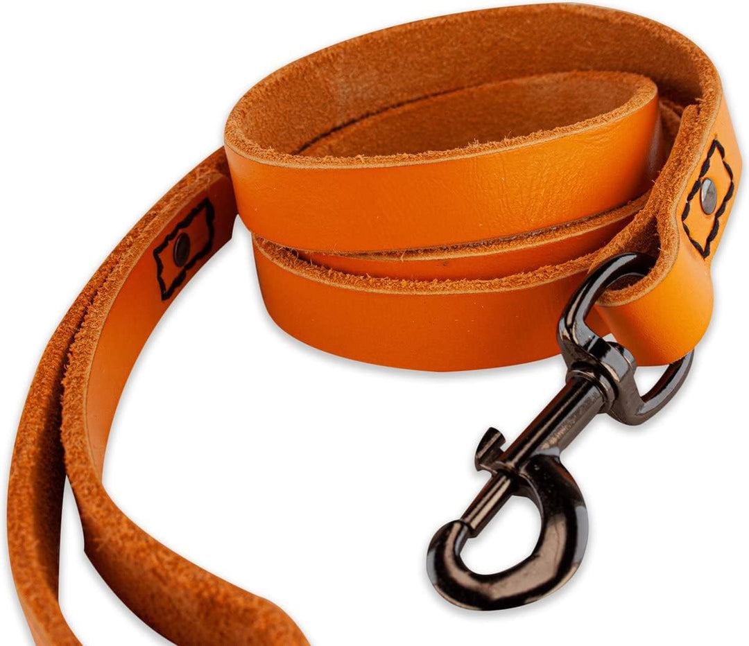 Leder Hundeleine - mit Naht - 220cm - Orange/schwarz Orange/Schwarz 220cm, Orange/Schwarz 220cm