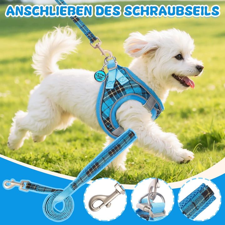 Hundegeschirr Kleine Hunde mit Leine, Verstellbares Step-In Welpengeschirr, Reflektierendes, Atmungs