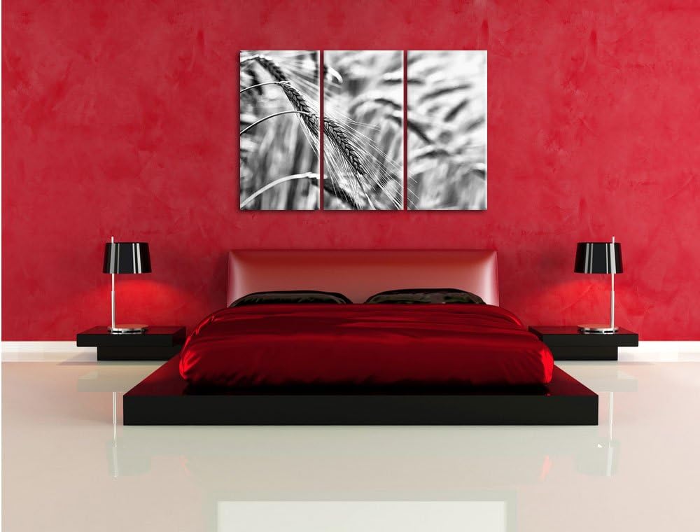 Pixxprint Weizen auf dem Feld als Leinwandbild/Grösse: 3 Teilig (120x80) cm/Wandbild/Kunstdruck/fert