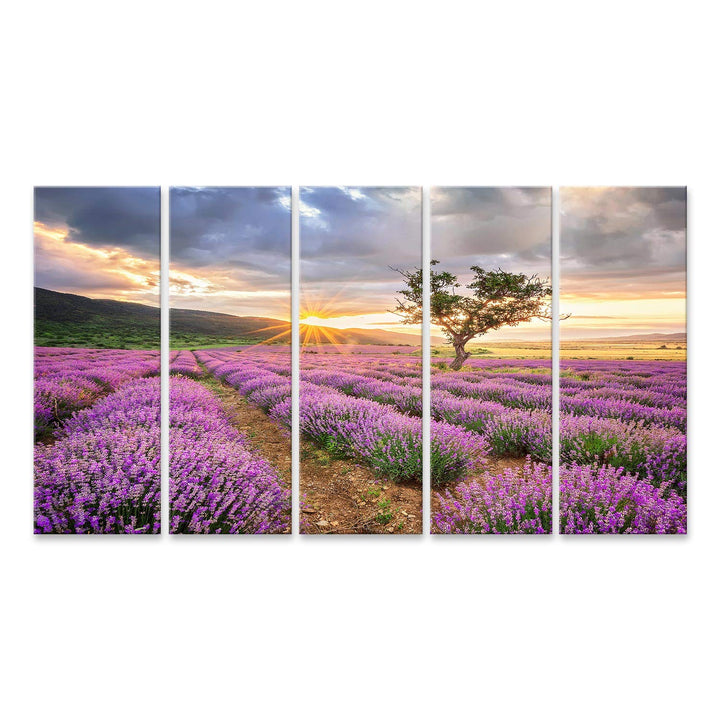 islandburner Bild Bilder auf Leinwand atemberaubende Landschaft mit Lavendelfeld bei Sonnenaufgang W