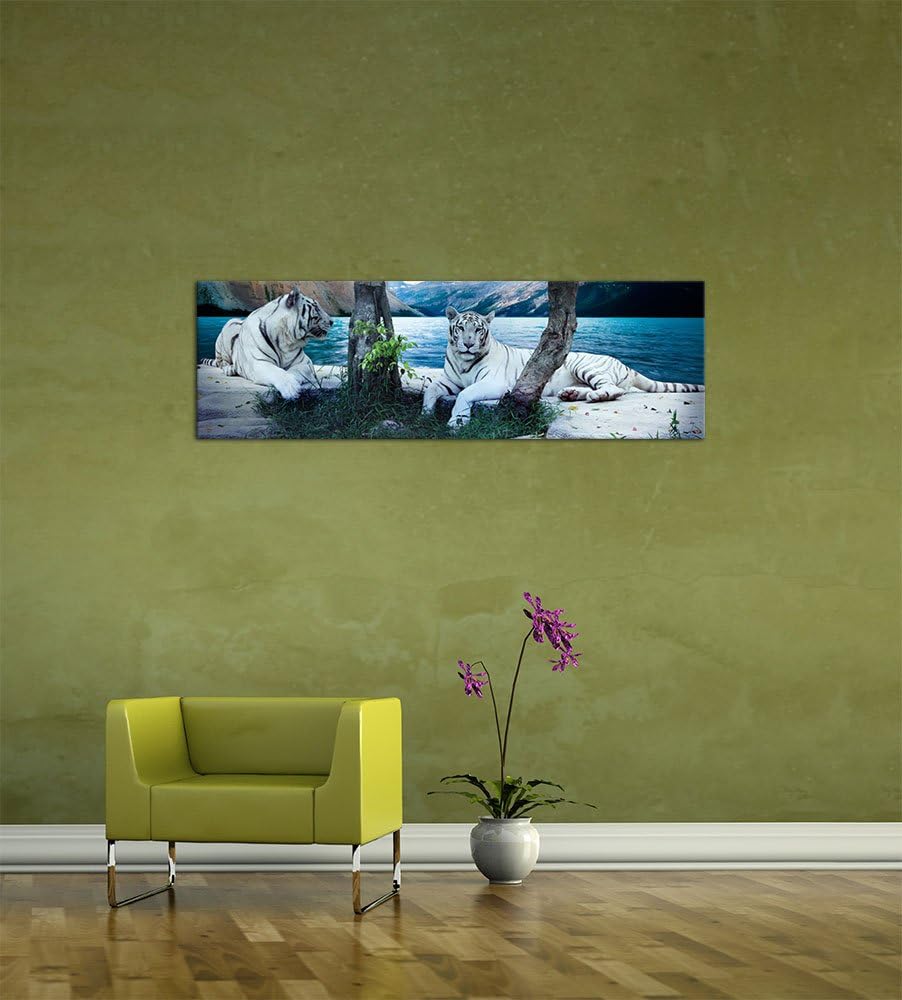 Bilderdepot24 Bild auf Leinwand | Tiger II in 160x50 cm als Panorama Wandbild XXL | Wand-deko Dekora
