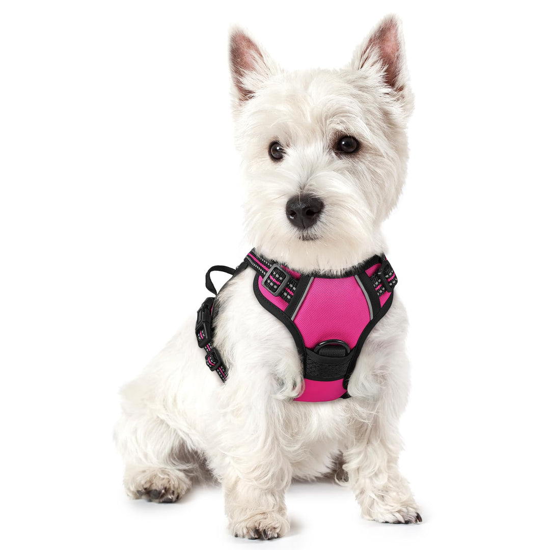 rabbitgoo Hundegeschirr Kleine Hunde, Anti Zug Geschirr mit Kontrolle, No Pull Verstellbar Hundegesc
