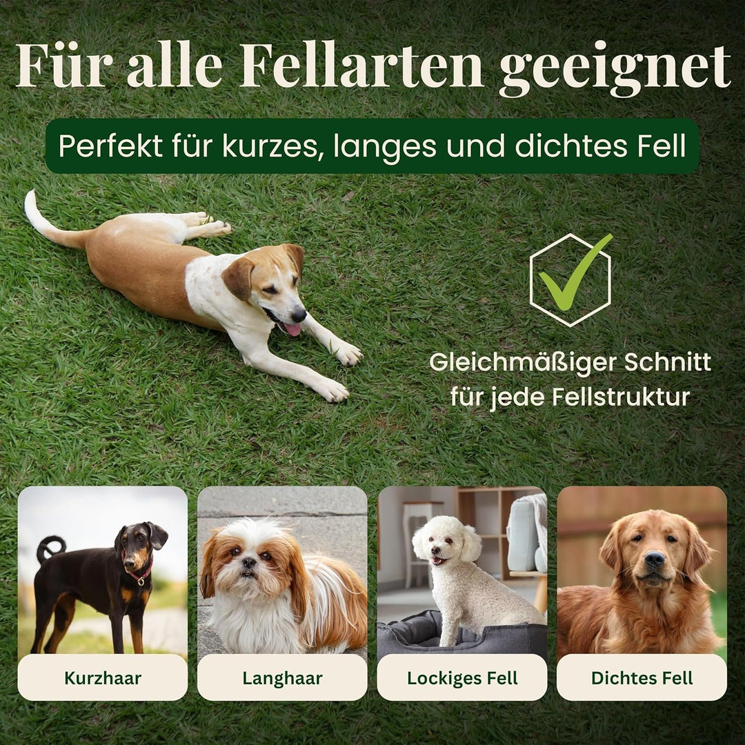 Hundeschermaschine für dickes dichtes Fell - leise Profi Schermaschine für Hunde Fellpflege - Hundet