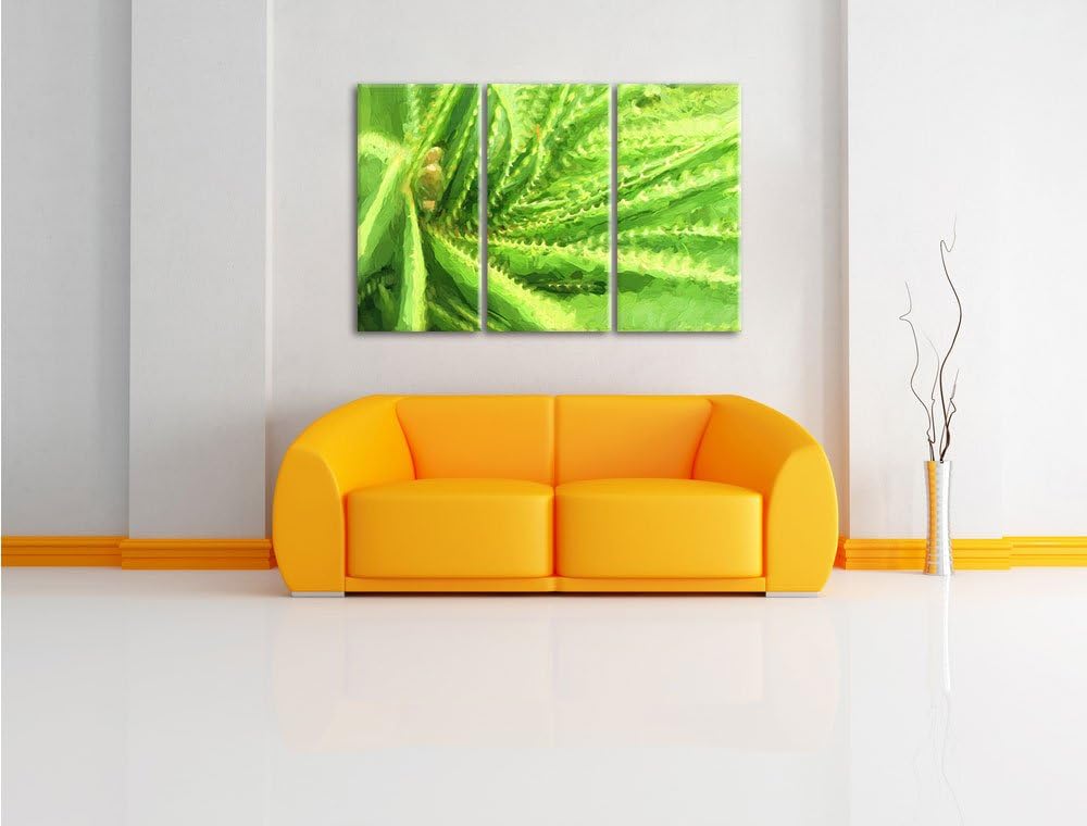 Pixxprint Aloe Vera Pflanze als Leinwandbild/Grösse: 3 Teilig (120x80 cm) cm/Wandbild/Kunstdruck/fer