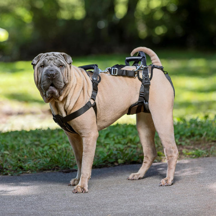 PetSafe CareLift Hebegeschirr für Hunde, Ganzkörperhebehilfe mit Griff und Schultergurt, Brust- und