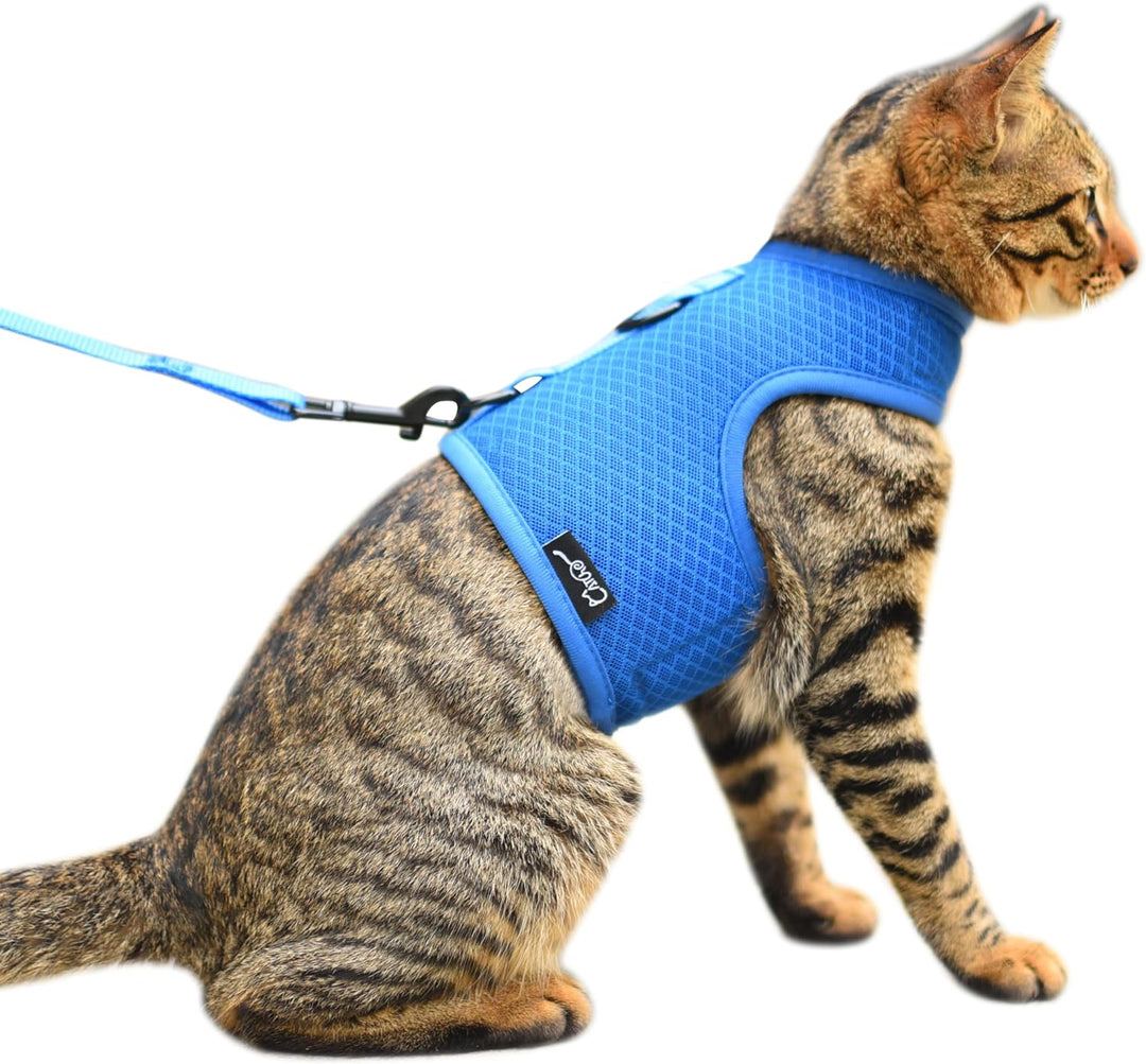 Katzengeschirr und Leine zum Spazierengehen, ausbruchsicher, atmungsaktives Netzgewebe, einfarbig, b
