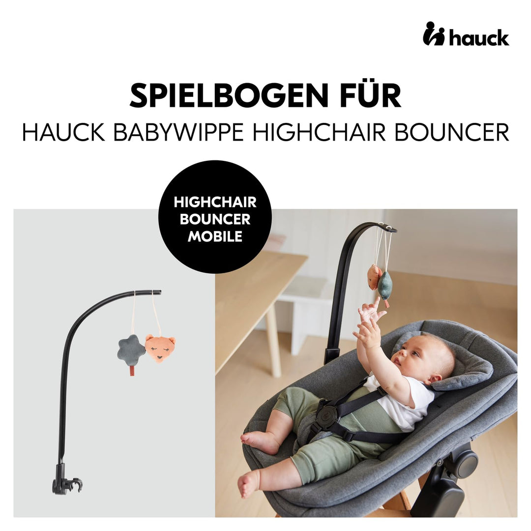 hauck Spielbogen für Highchair Bouncer Babywippe (nicht mit anderen Modellen kompatibel), mit Quiets