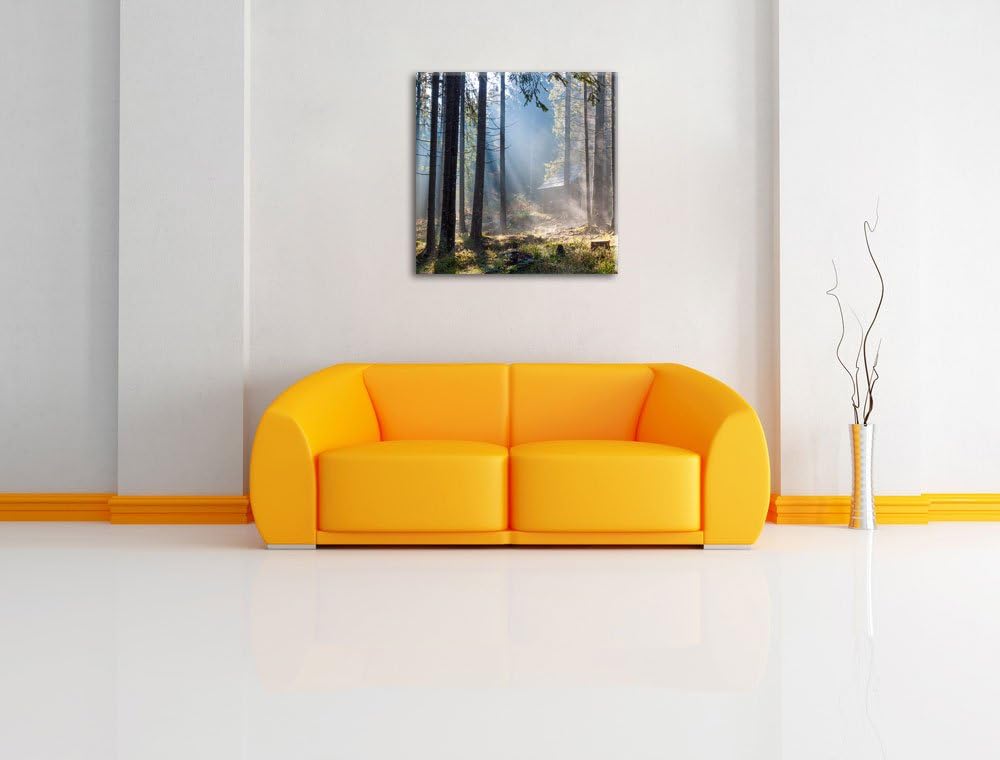 Sonnenstrahlen im Wald, Format: 70x70 auf Leinwand, XXL riesige Bilder fertig gerahmt mit Keilrahmen