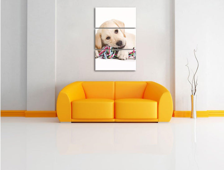 Pixxprint Hundewelpe 3-Teiler Leinwandbild 120x80 Bild auf Leinwand