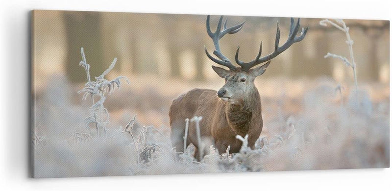 Wandbilder Dekoration Wohnzimmer Hirsch Wald Natur Panorama Bilder auf Leinwand 120x50cm Leinwandbil