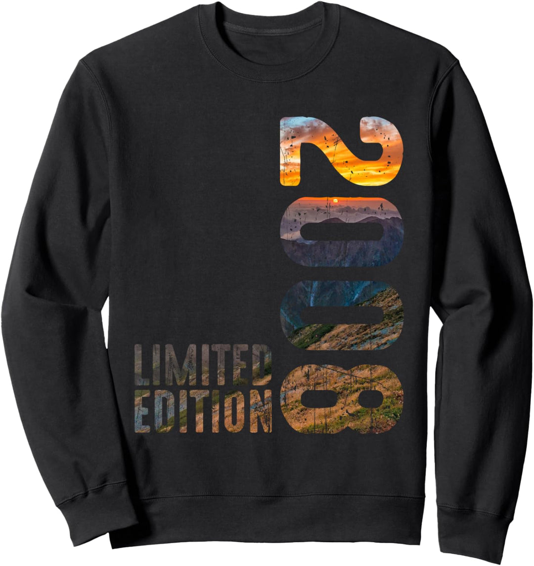 Cool Fantastisches Jahr 2008 Retro 2008 Birth Vintage seit 2008 Sweatshirt
