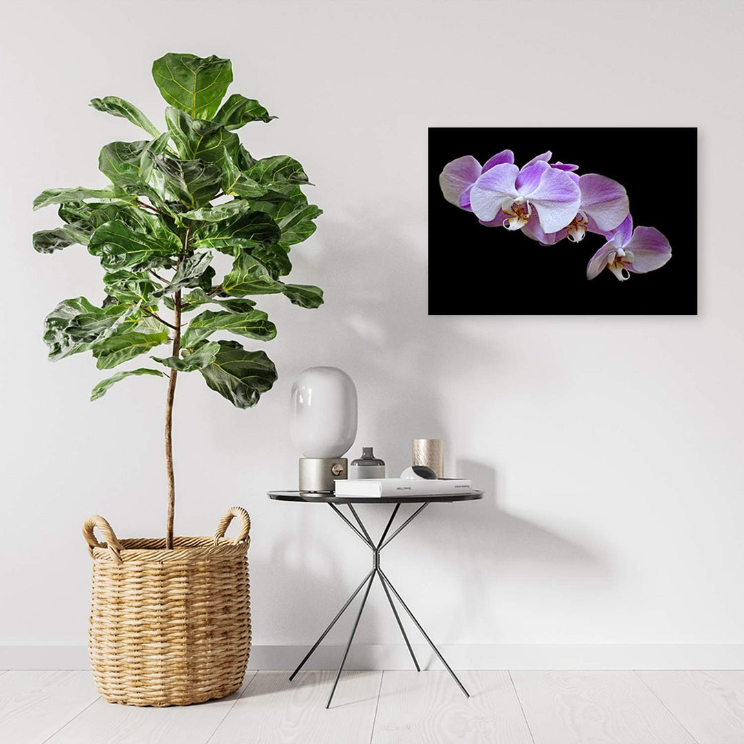 Feeby Bild auf Leinwand Blumen Kunstdruck modern Orchidee Violett 80x60 cm Leinwandbild 80x60 cm Vio
