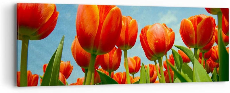 Panorama Bilder auf Leinwand Tulpe Blume blauer Himmel Leinwandbild 90x30cm Wandbilder Dekoration Wo