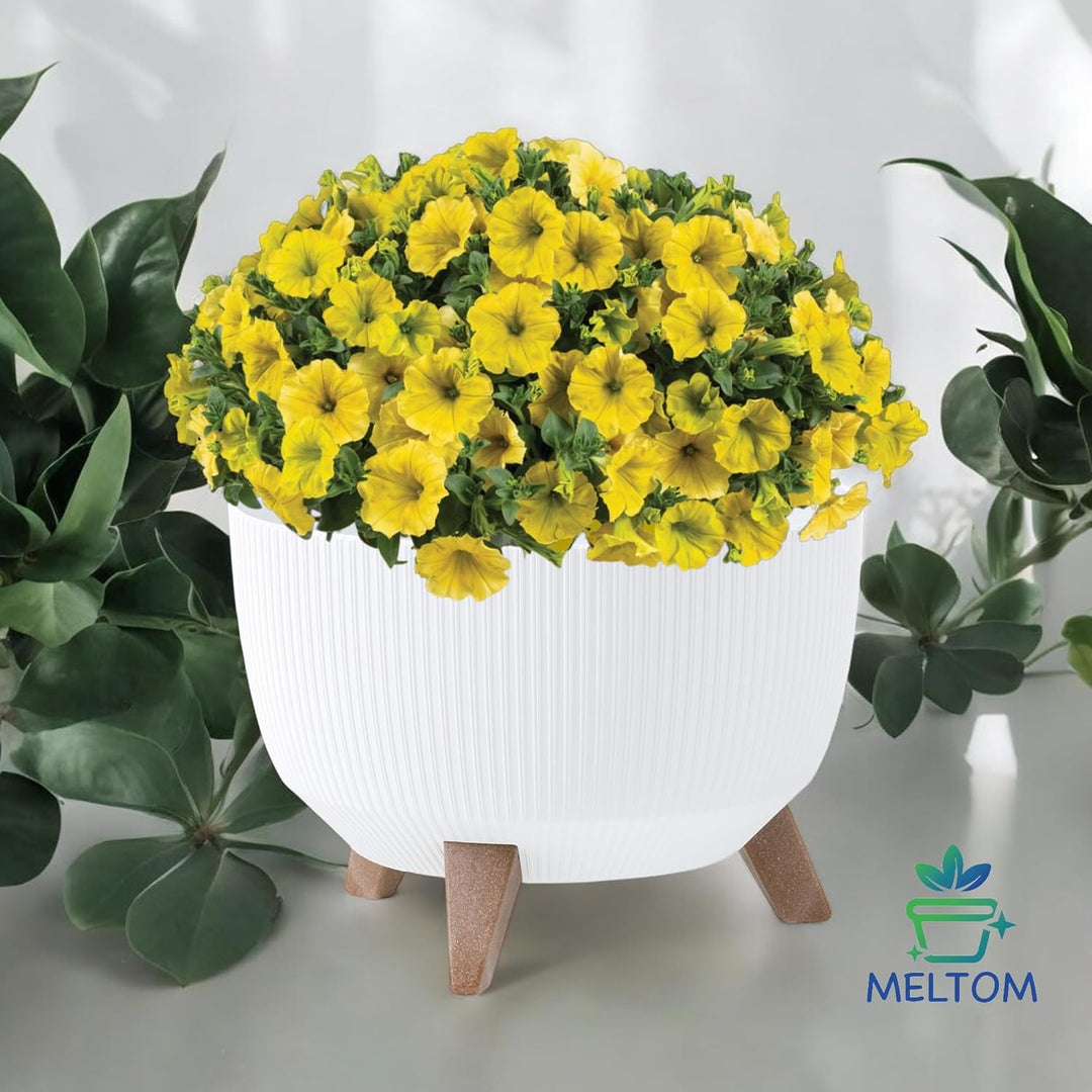MELTOM Blumentopf Schale mit Füssen Einsatz Kräutertopf Übertopf Pflanzschale Eco Recycled (Weiss, L