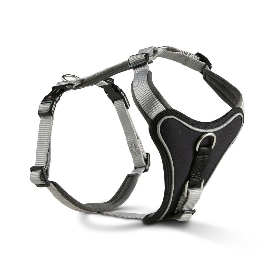 Wolters Geschirr Professional Comfort, Grösse:27-32 cm, Farbe:Silber grau 27 - 32 cm silber grau, 27