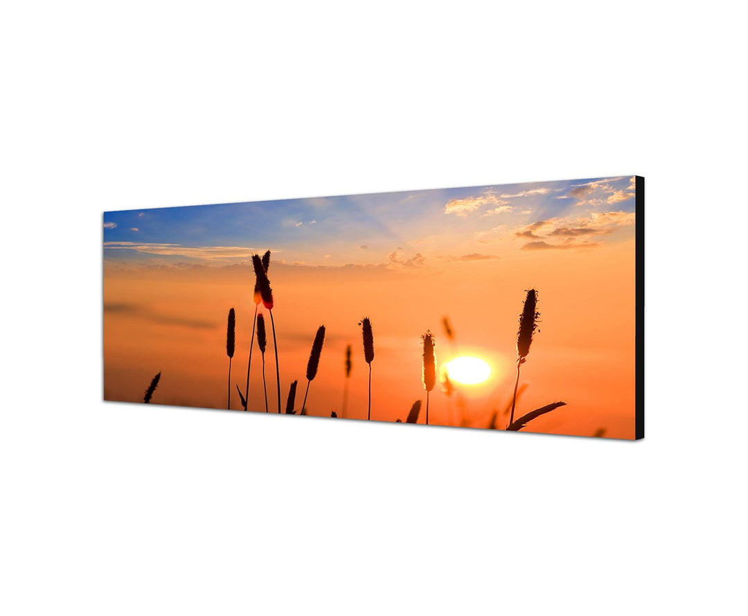 Augenblicke Wandbilder Leinwandbild als Panorama in 150x50cm Getreide Feld Sommer Sonnenuntergang