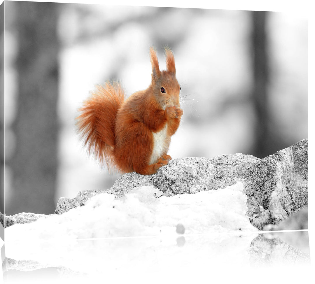 niedliches Eichhörnchen in verschneitem Wald schwarz/weiss Format: 100x70 auf Leinwand, XXL riesige