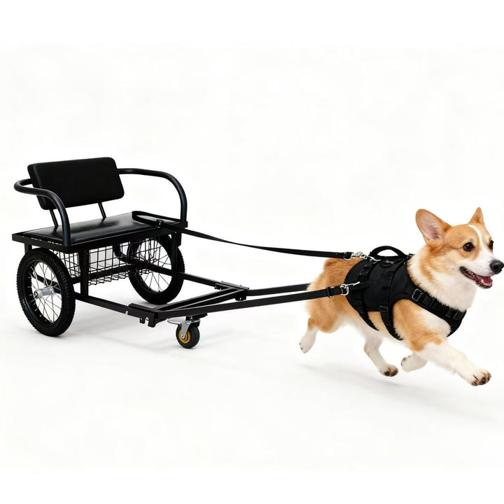Hundewagen Mit Sitz Grosser Hundekarren/Hundeanhänger Für Transport, Jogging &amp; Einkauf Robuster Wage