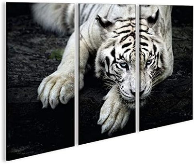 islandburner Bild Bilder auf Leinwand Bengalischer Tiger V2 3p XXL Poster Leinwandbild Wandbild Deko