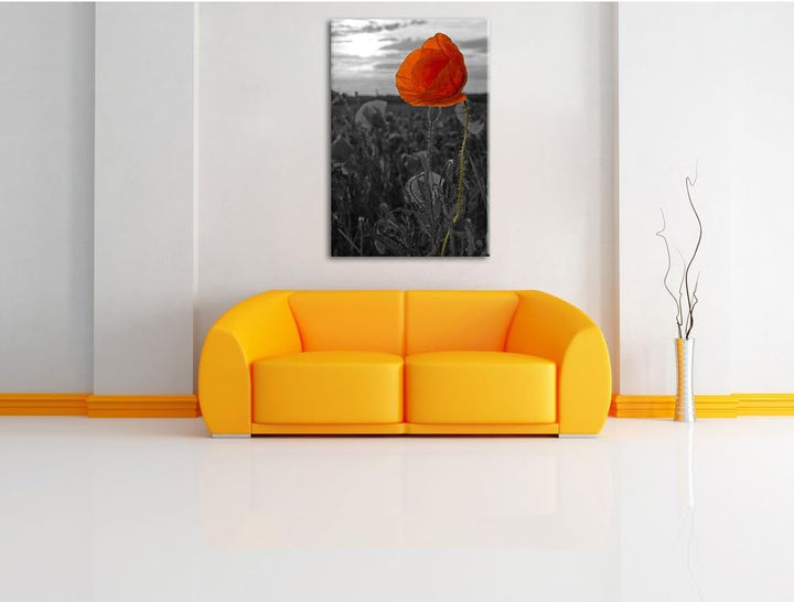 Mohnfeld B&W Detail, Format: 100x70 auf Leinwand, XXL riesige Bilder fertig gerahmt mit Keilrahmen,