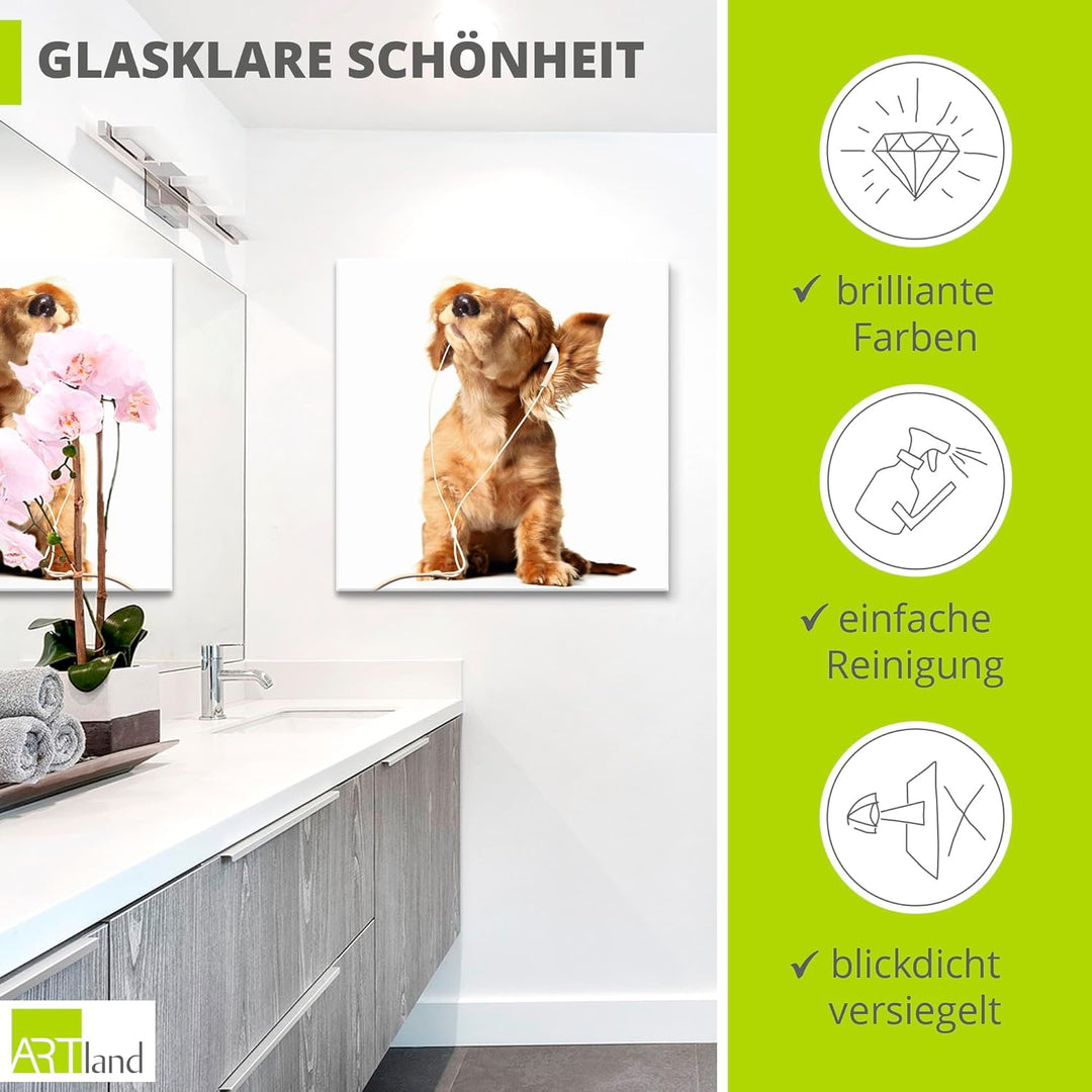 ARTland Glasbilder Wandbild Glas Bild einteilig 50x50 cm Quadratisch Hund Tiere Musik Dackel Welpen