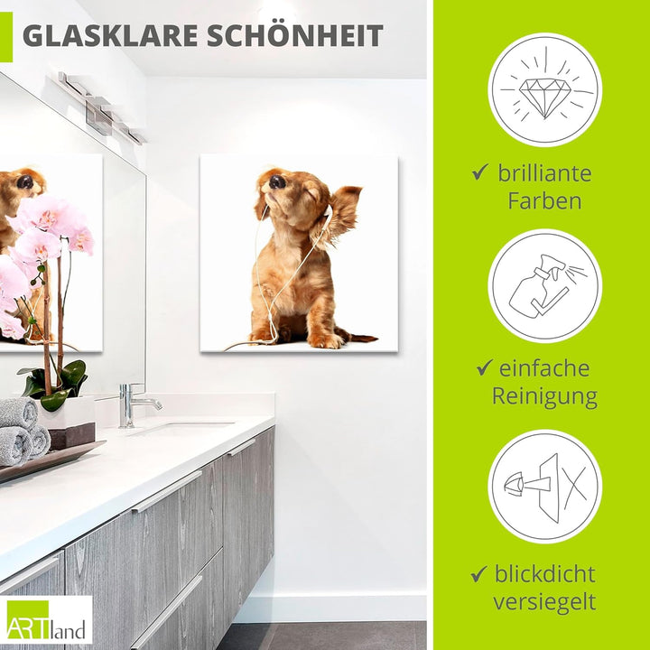 ARTland Glasbilder Wandbild Glas Bild einteilig 50x50 cm Quadratisch Hund Tiere Musik Dackel Welpen