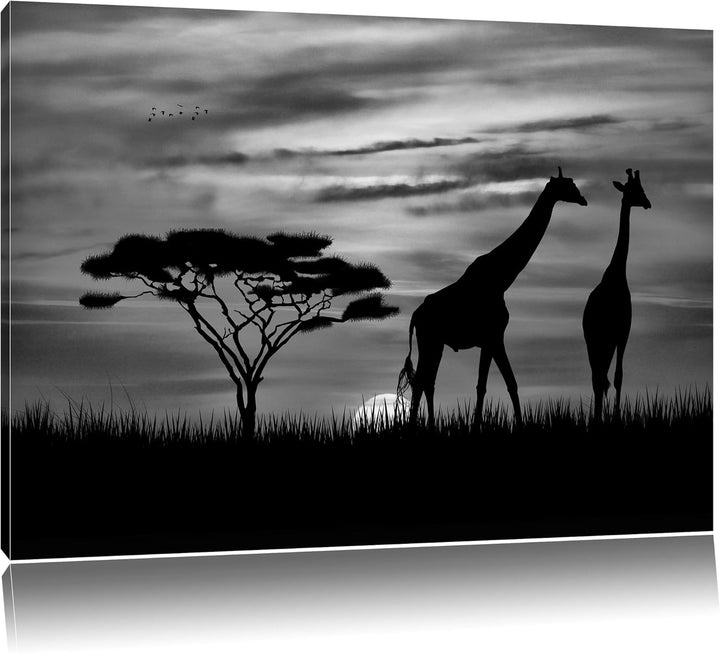 Pixxprint Monocrome, Afrika Giraffen im Sonnenuntergang, Format: 100x70 auf Leinwand, XXL riesige Bi