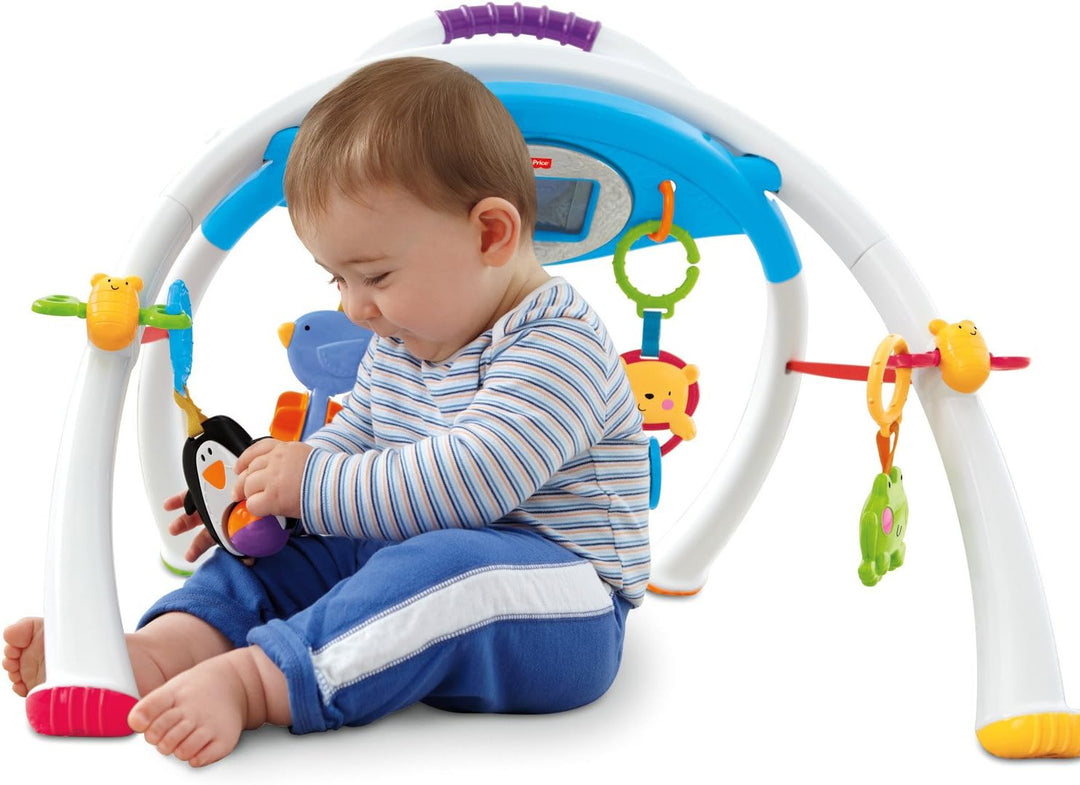 Fisher-Price Mattel Y4476 Apptivity Gym
