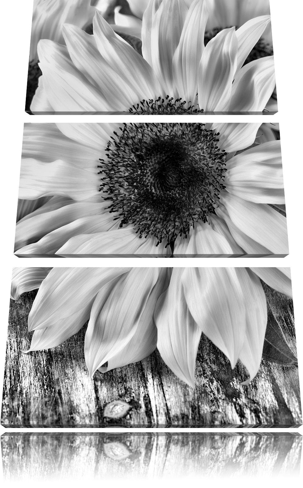 Pixxprint Sonnenblumen auf Holztisch als Leinwandbild/Grösse: 3 Teilig (120x80) cm/Wandbild/Kunstdru