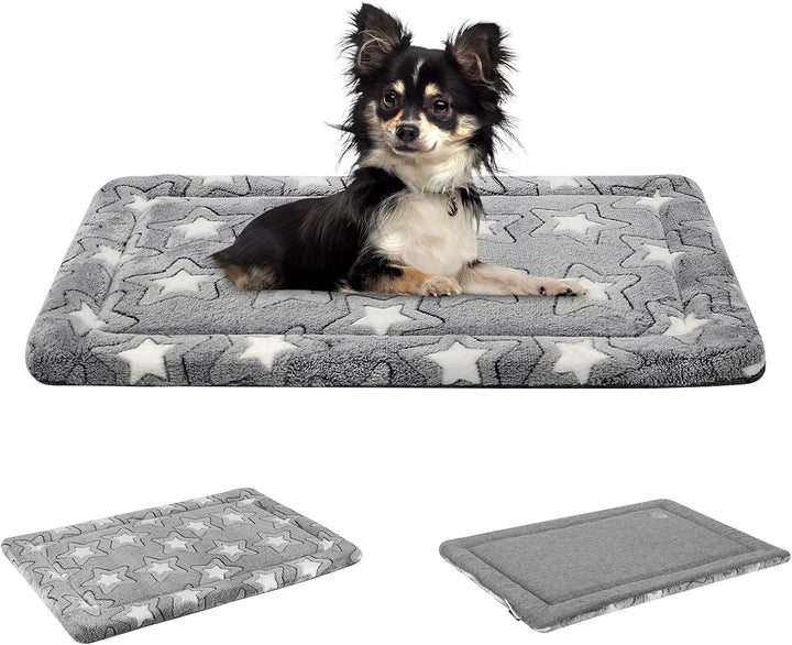 EMPSIGN Hundebett kleine Hunde, Waschbar Hundekissen (kühl und warm), Hundematte aus hochdichtem Sch