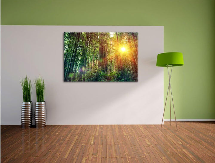 Wald bei Sonnenlicht, Format: 100x70 auf Leinwand, XXL riesige Bilder fertig gerahmt mit Keilrahmen,