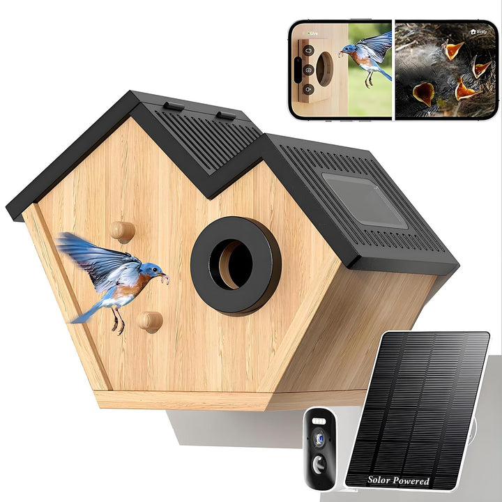 Nistkasten mit HD Kamera Solarbetriebenes, Live Stream Al Vogelbestimmer, Beobachten Sie das Nisten
