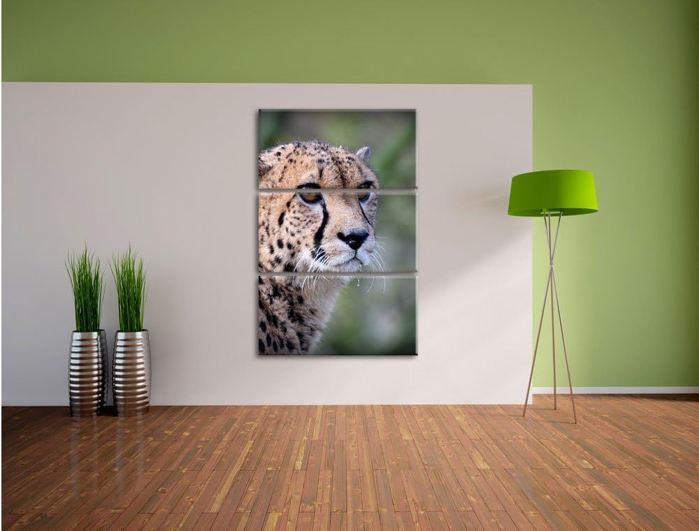 Pixxprint bildschöner Gepard als Leinwandbild/Grösse: 3 Teilig (120x80) cm/Wandbild/Kunstdruck/ferti