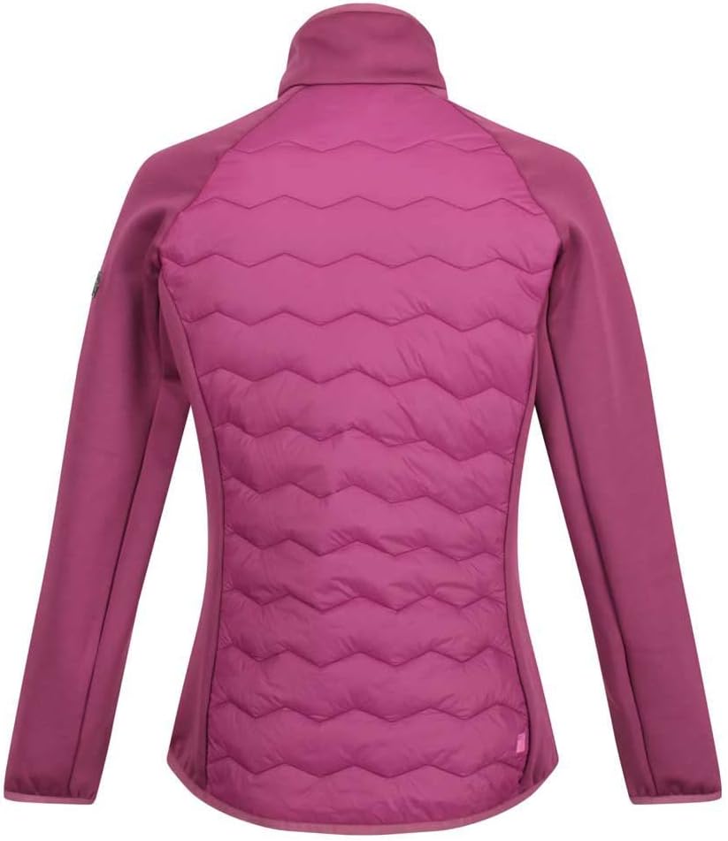 Regatta Hybrid Softshelljacke Damen Clumber III 36 Weinrot, 36 Weinrot