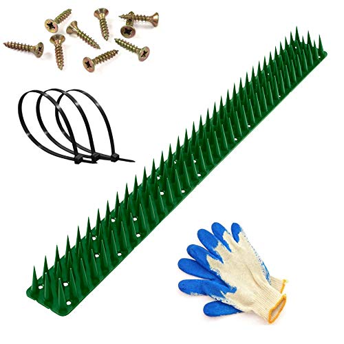 GL Vogelabwehr Set 3-Reihig Länge 5-20 m Tauben- und Vogelschutz | Extra Spikes, Taubenspikes Ideal