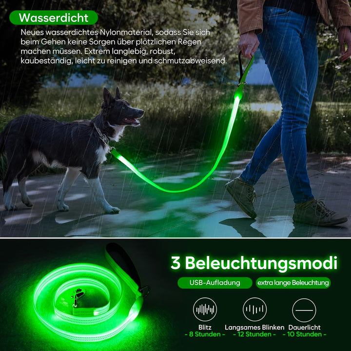 ChalkLit LED Hundeleine, Beleuchtete Hundeleine über USB Wiederaufladbar, 1,2 m, Weich Wasserdicht R